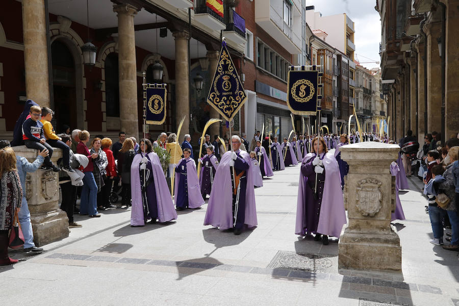 Fotos: Procesión del Domingo de Ramos en Palencia