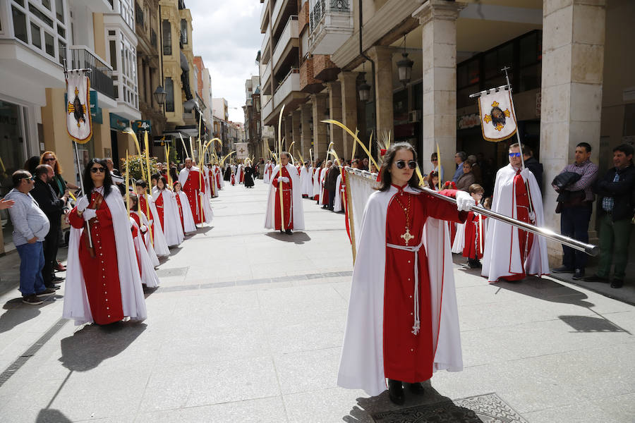 Fotos: Procesión del Domingo de Ramos en Palencia