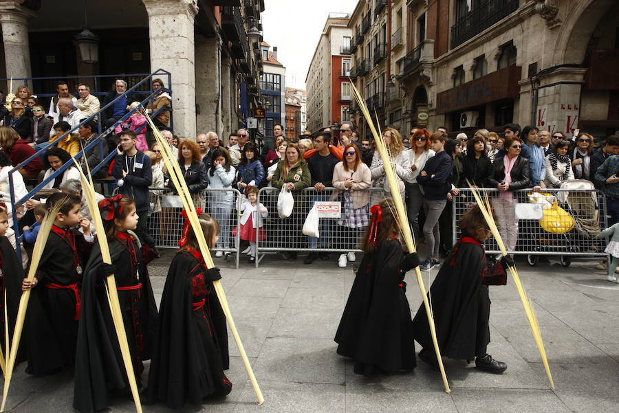 Fotos: Procesión de la Borriquilla en Valladolid (2/6)