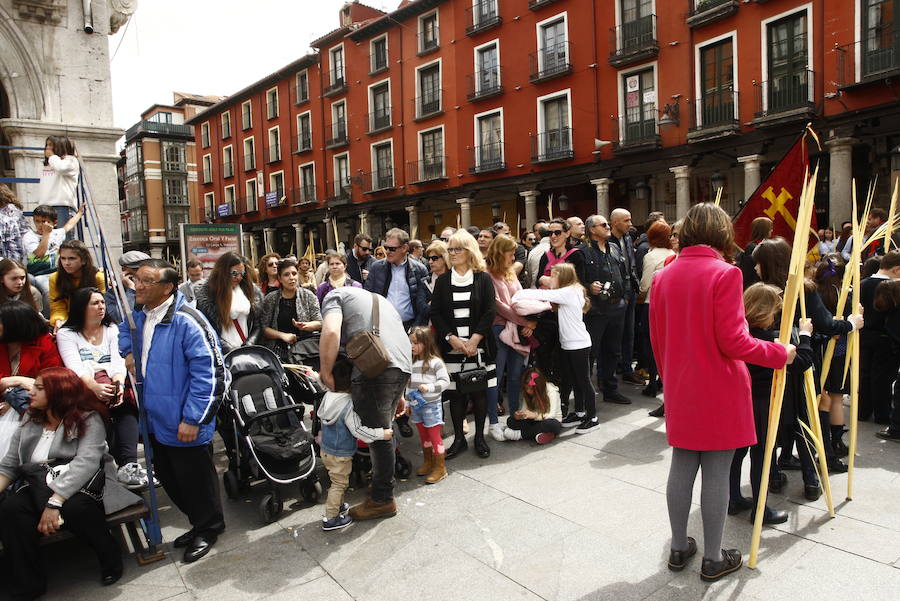 Fotos: Procesión de la Borriquilla en Valladolid (2/6)