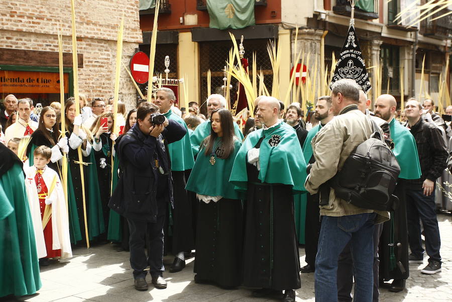 Fotos: Procesión de la Borriquilla (6/6)