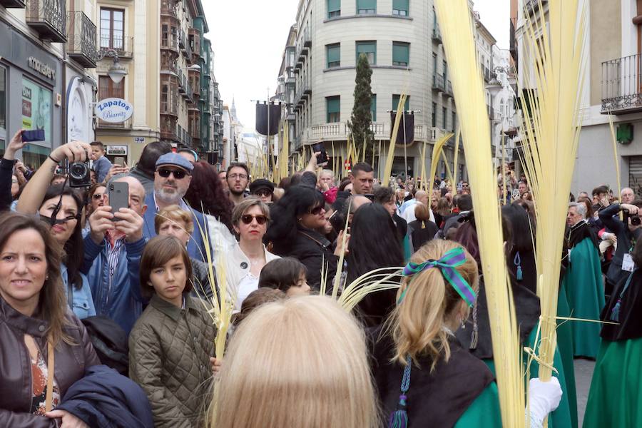 Fotos: Procesión de Las Palmas en Valladolid