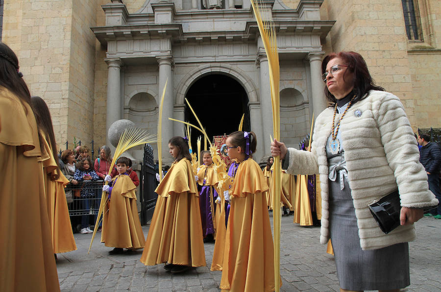 Fotos: Procesión de la Borriquilla en Segovia