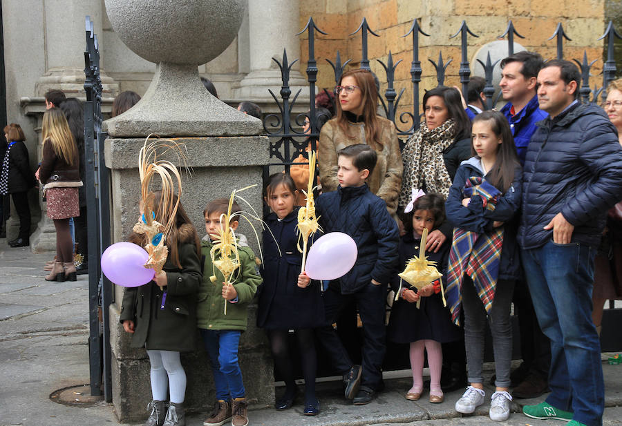 Fotos: Procesión de la Borriquilla en Segovia