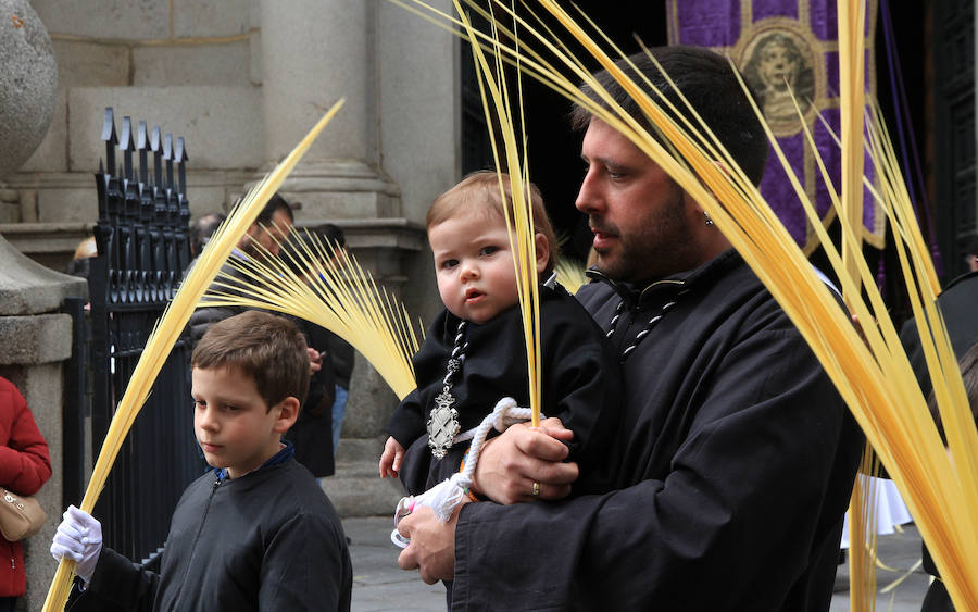 Fotos: Procesión de la Borriquilla en Segovia