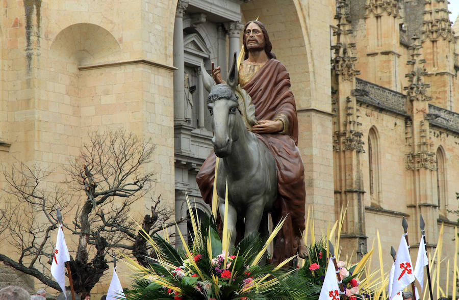 Fotos: Procesión de la Borriquilla en Segovia