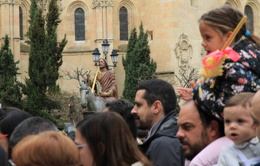 Fotos: Procesión de la Borriquilla en Segovia