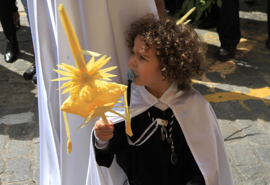 Fotos: Procesión de la Borriquilla en Segovia