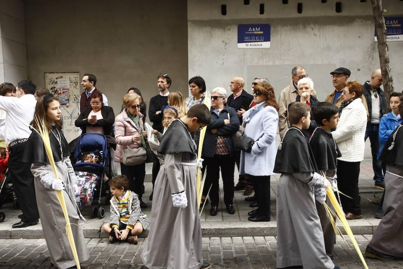 Fotos: Procesión de la Borriquilla en Valladolid (2/6)