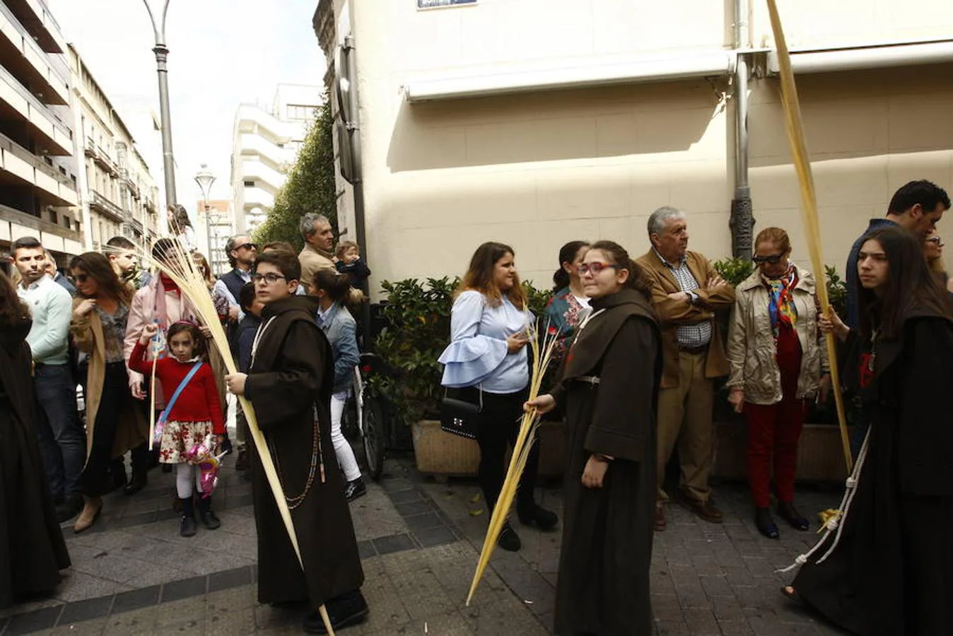 Fotos: Procesión de la Borriquilla en Valladolid (4/6)