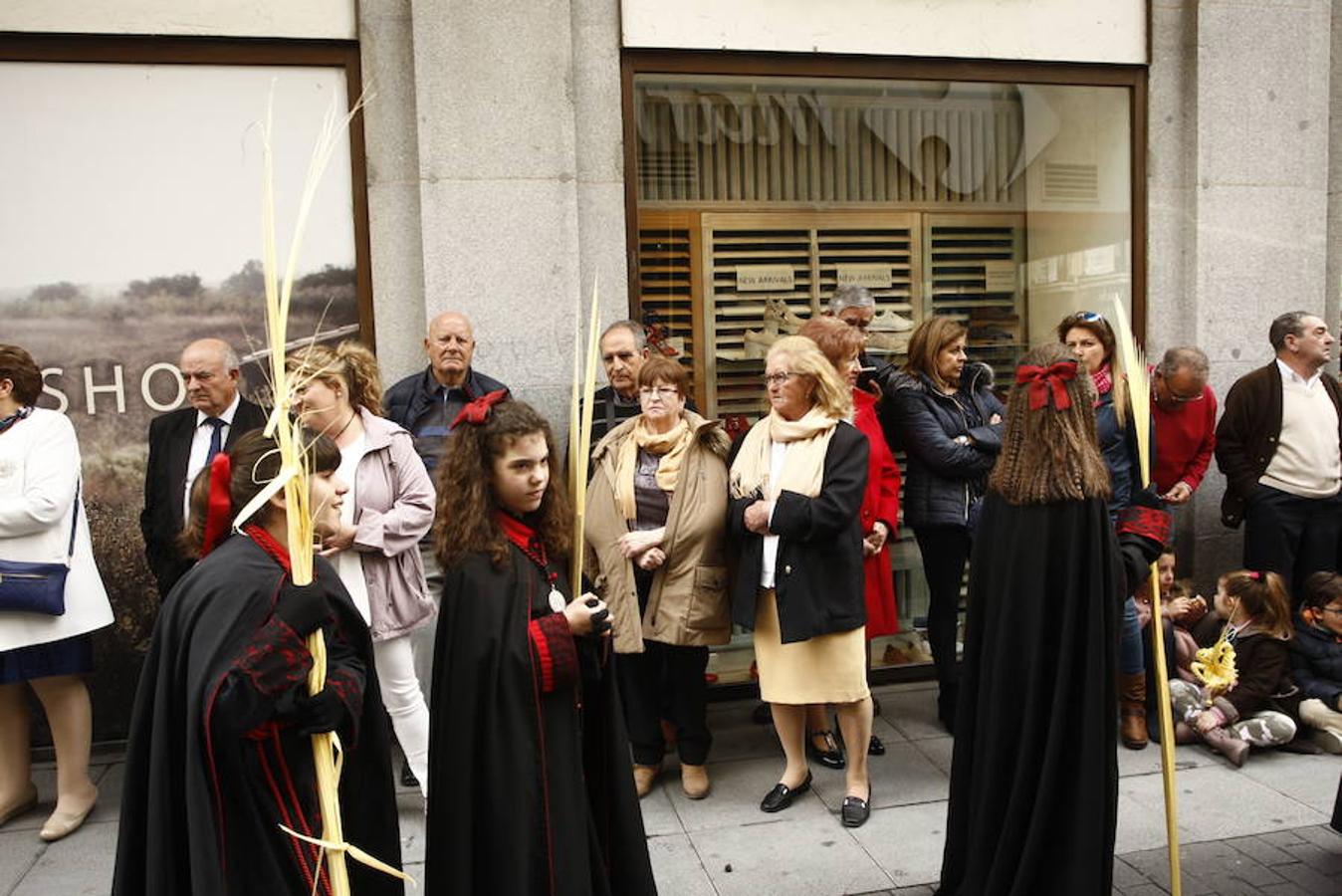 Fotos: Procesión de la Borriquilla (5/6)