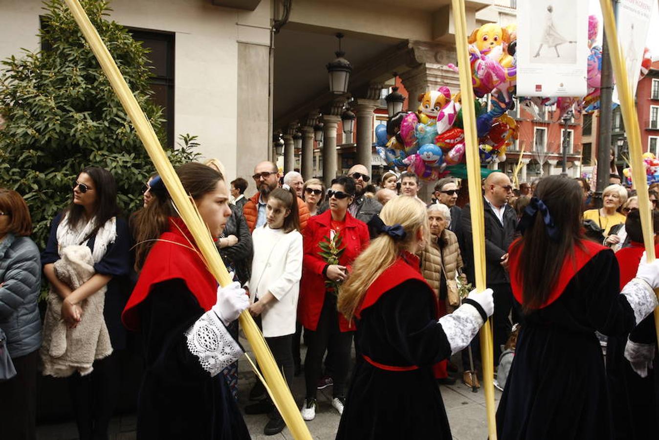 Fotos: Procesión de la Borriquilla (6/6)