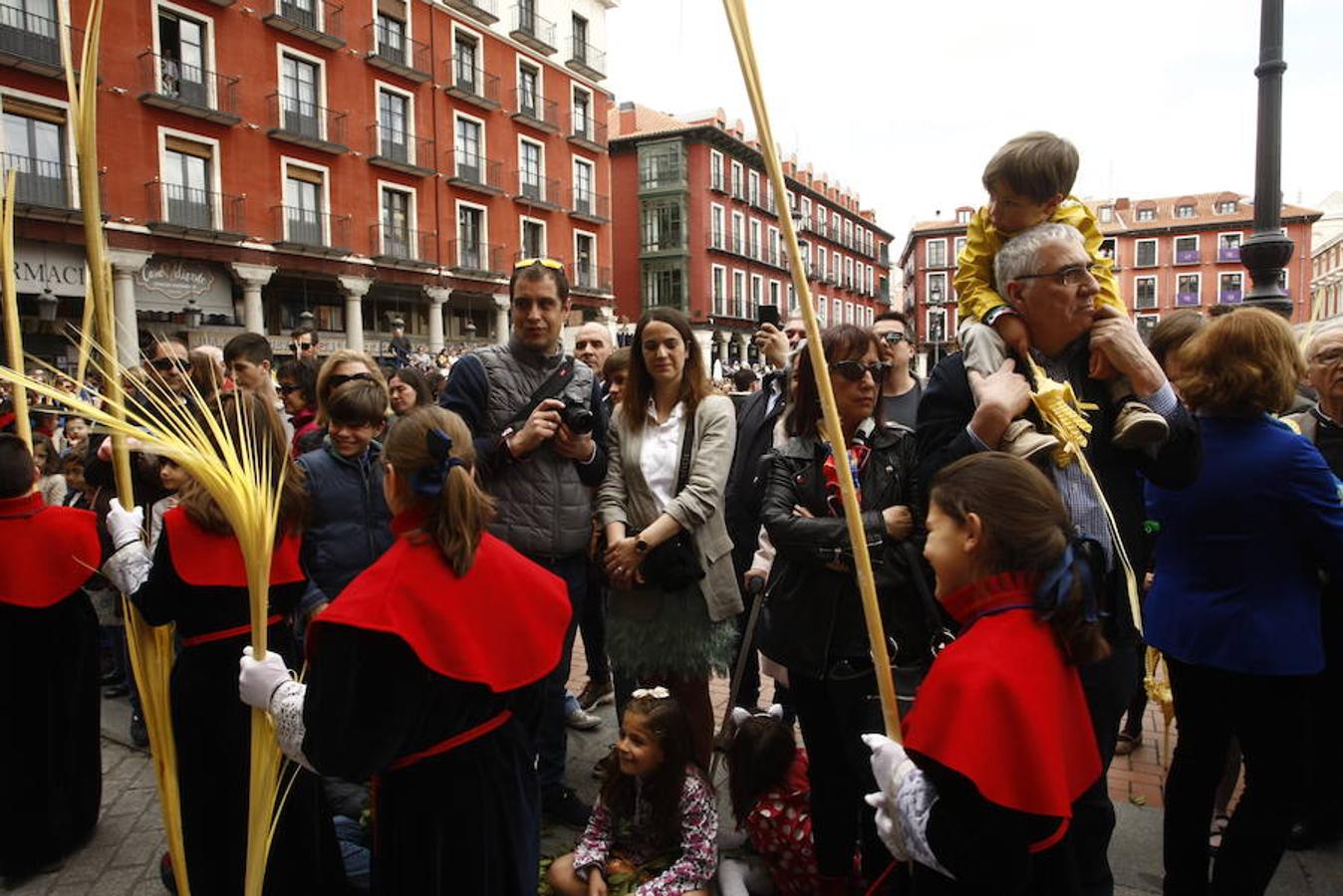 Fotos: Procesión de la Borriquilla (6/6)