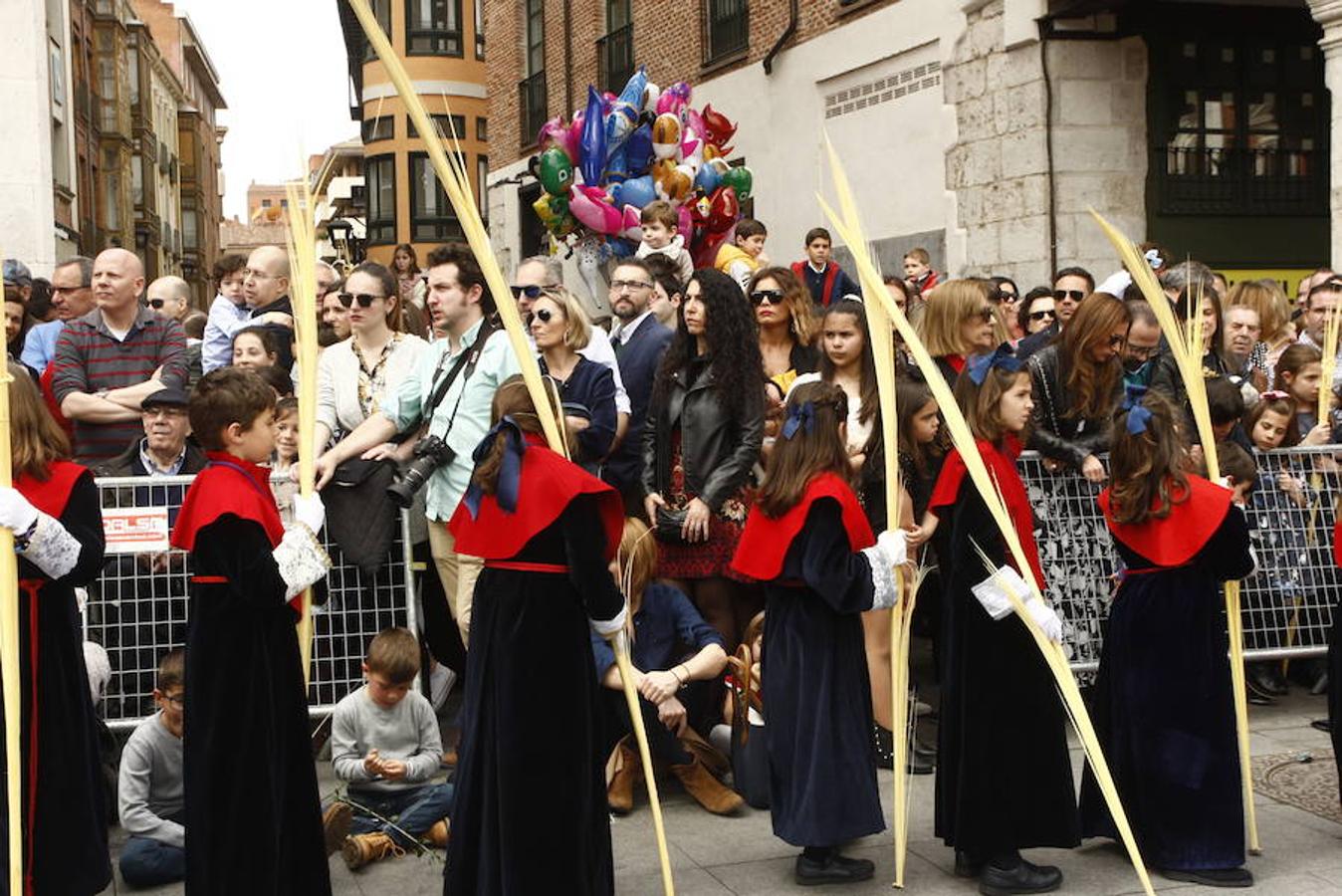 Fotos: Procesión de la Borriquilla (6/6)