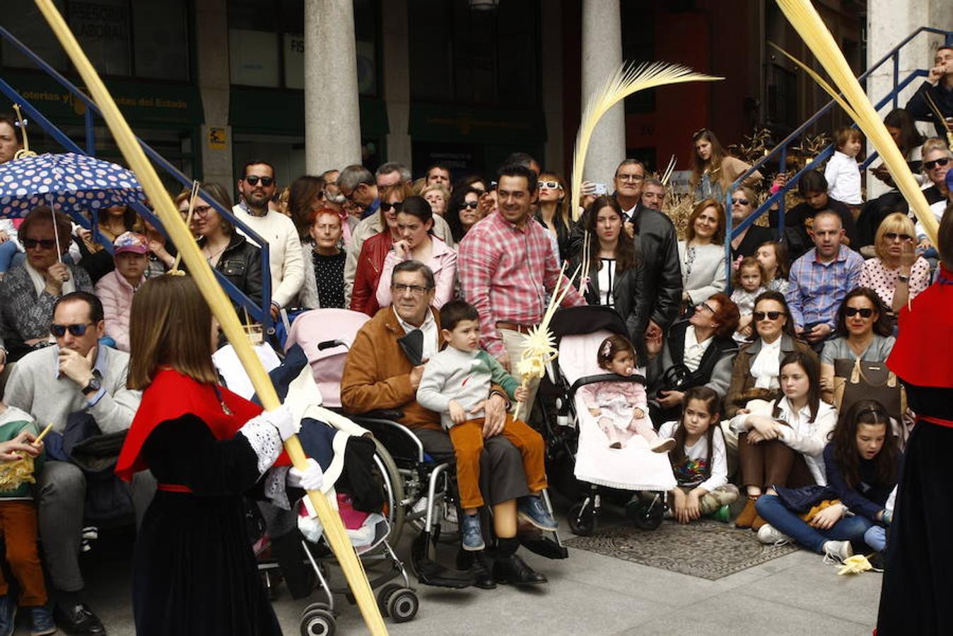 Fotos: Procesión de la Borriquilla (6/6)