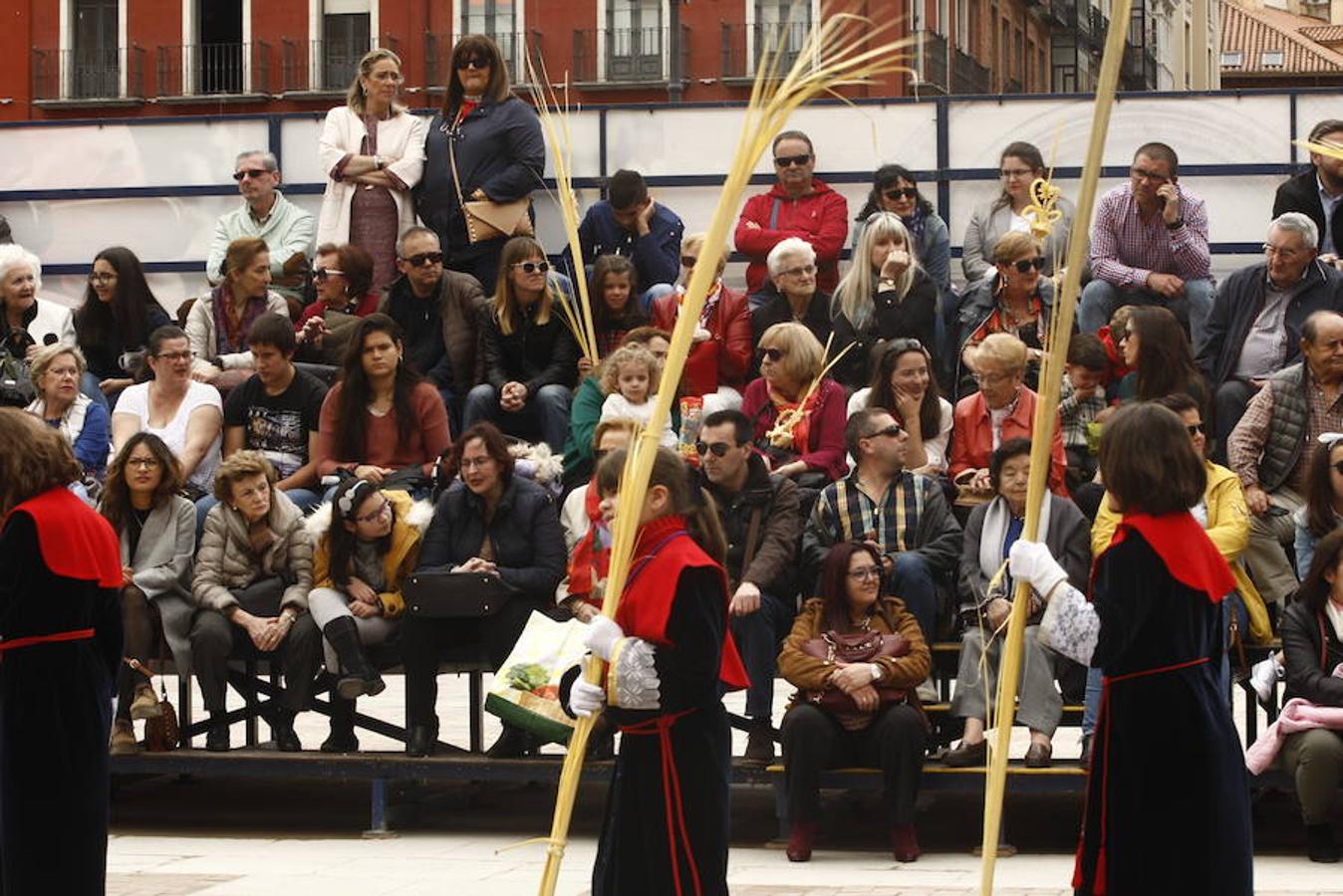 Fotos: Procesión de la Borriquilla (6/6)