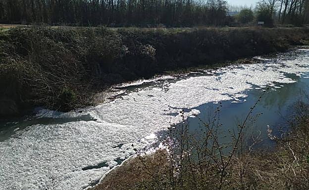 El vertido llena de espuma blanca el Canal de Castilla. 