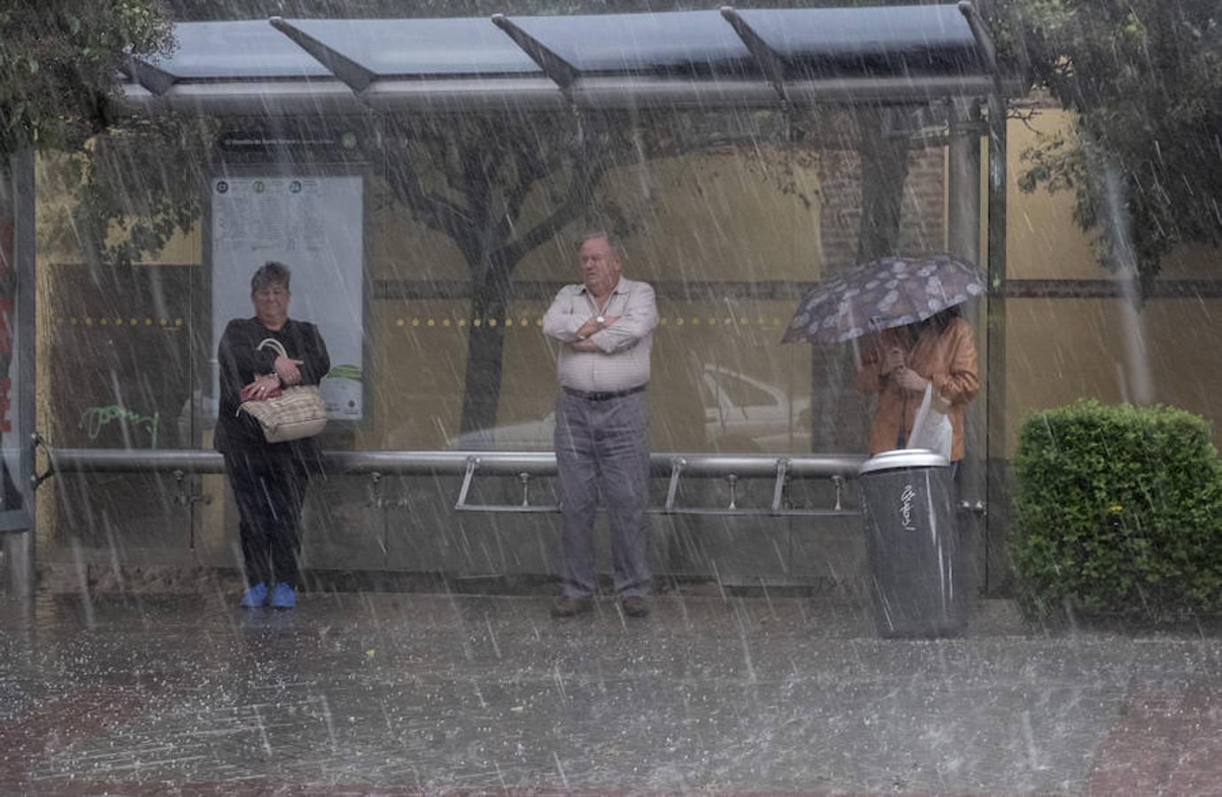 Imágenes de la tormenta de agua y granizado que ha descargado durante veinticinco minutos sobre Valladolid.