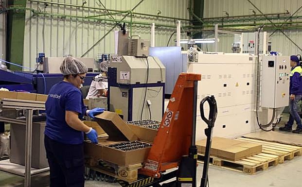Trabajadores de la planta de Verescence en La Granja, Segovia. 