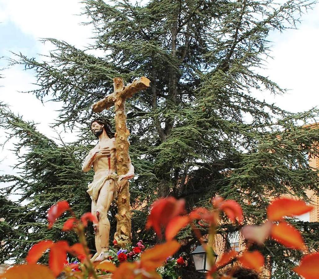 Fotos: Procesión del Encuentro el Domingo de Resurrección en Olmedo