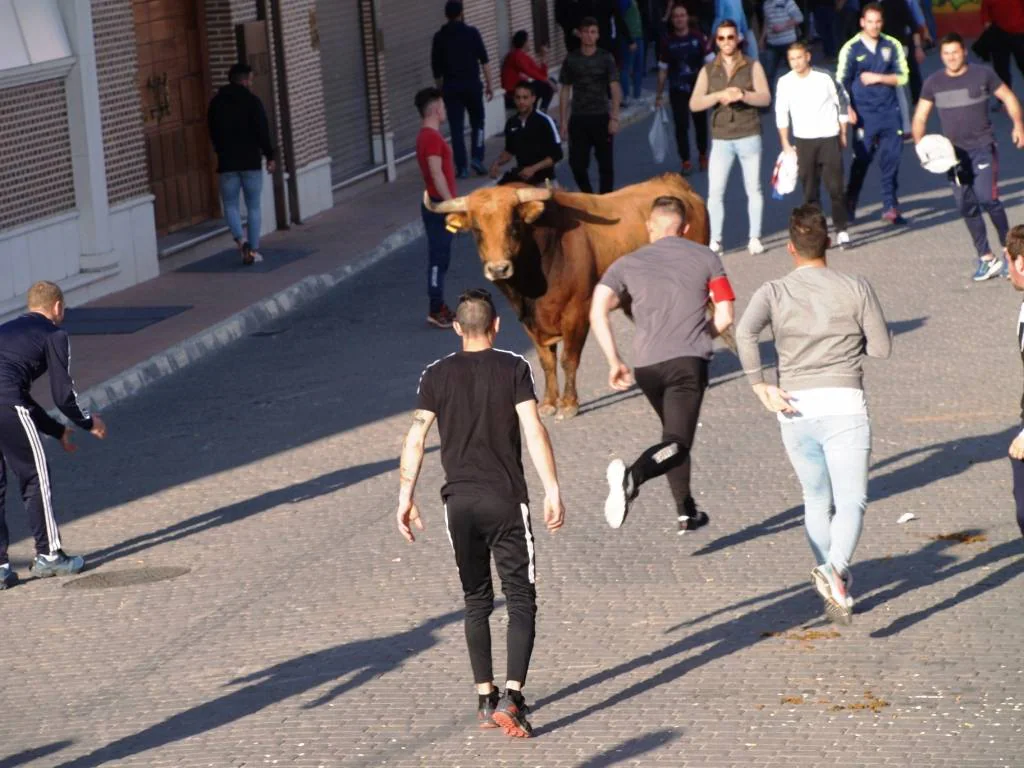 Fotos: Suelta de toros del cajón el Sábado Santo en Pedrajas de San Esteban