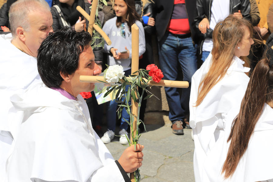 Fotos: Procesión del Encuentro entre la Virgen de la Alegría y Jesús Resucitado en Salamanca