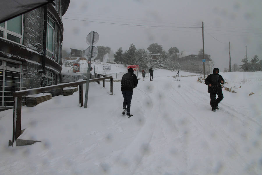 Fotos: Nieve y ventisca en el puerto de Navacerrada