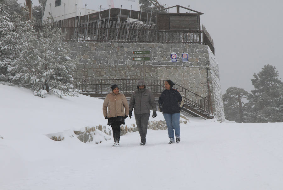 Fotos: Nieve y ventisca en el puerto de Navacerrada
