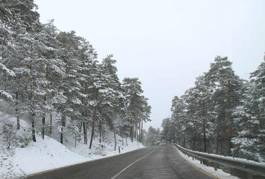 Fotos: Nieve y ventisca en el puerto de Navacerrada