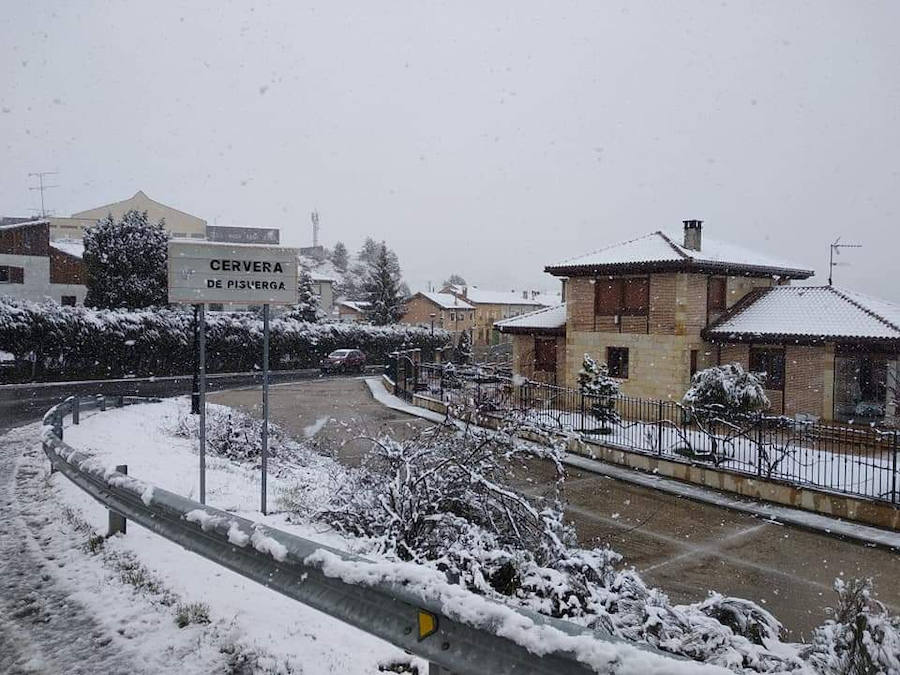 Fotos: La nieve vuelve a finales de abril al norte de Palencia
