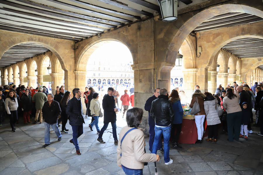 Fotos: Miles de Libros invaden la Plaza Mayor de Salamanca