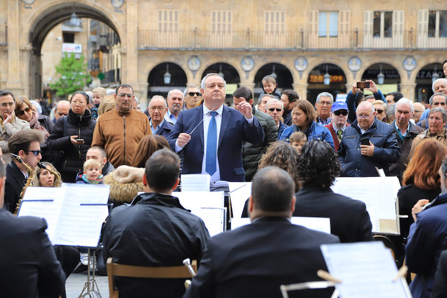 Fotos: Miles de Libros invaden la Plaza Mayor de Salamanca