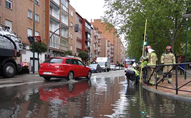 El vendaval mantendrá cerrado el Campo Grande por la caída de ramas