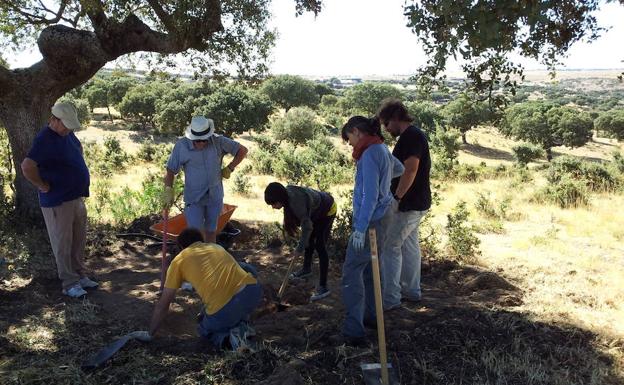 Trabajos de exhumación de una fosa en la provincia de Salamanca. 