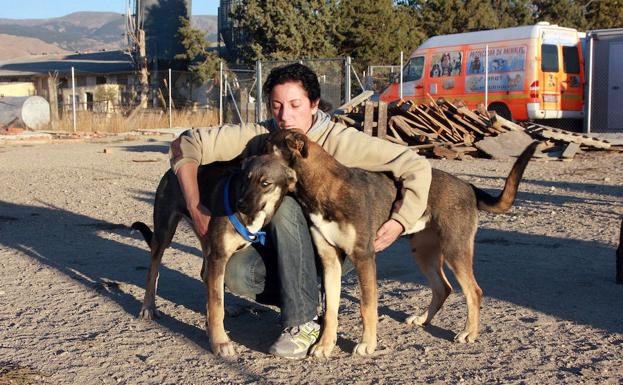 Ana Fuentetaja de la Asociación para la Defensa de los Animales, junto a algunos perros acogidos.