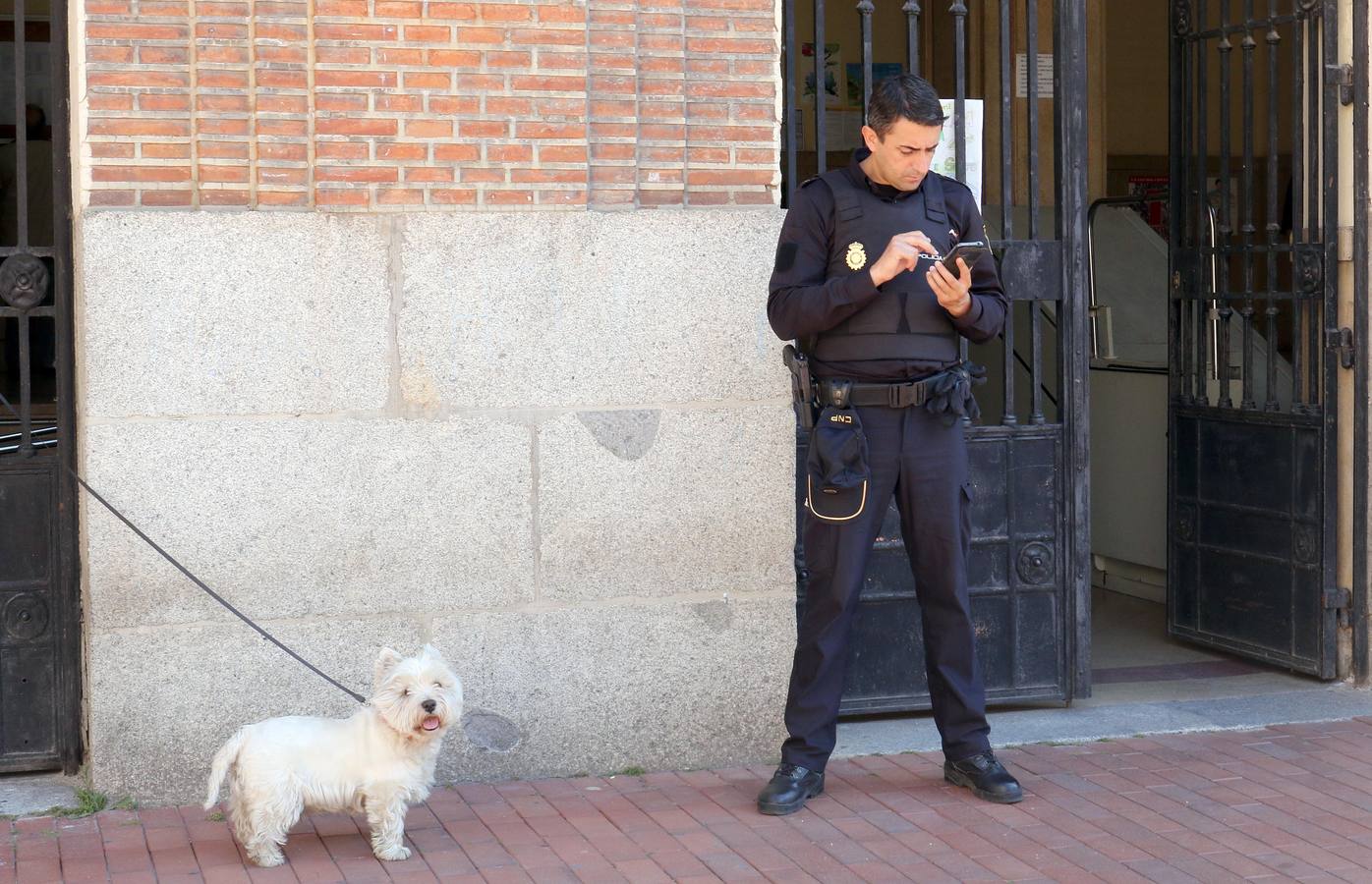 Fotos: El ambiente en los colegios electorales de Valladolid