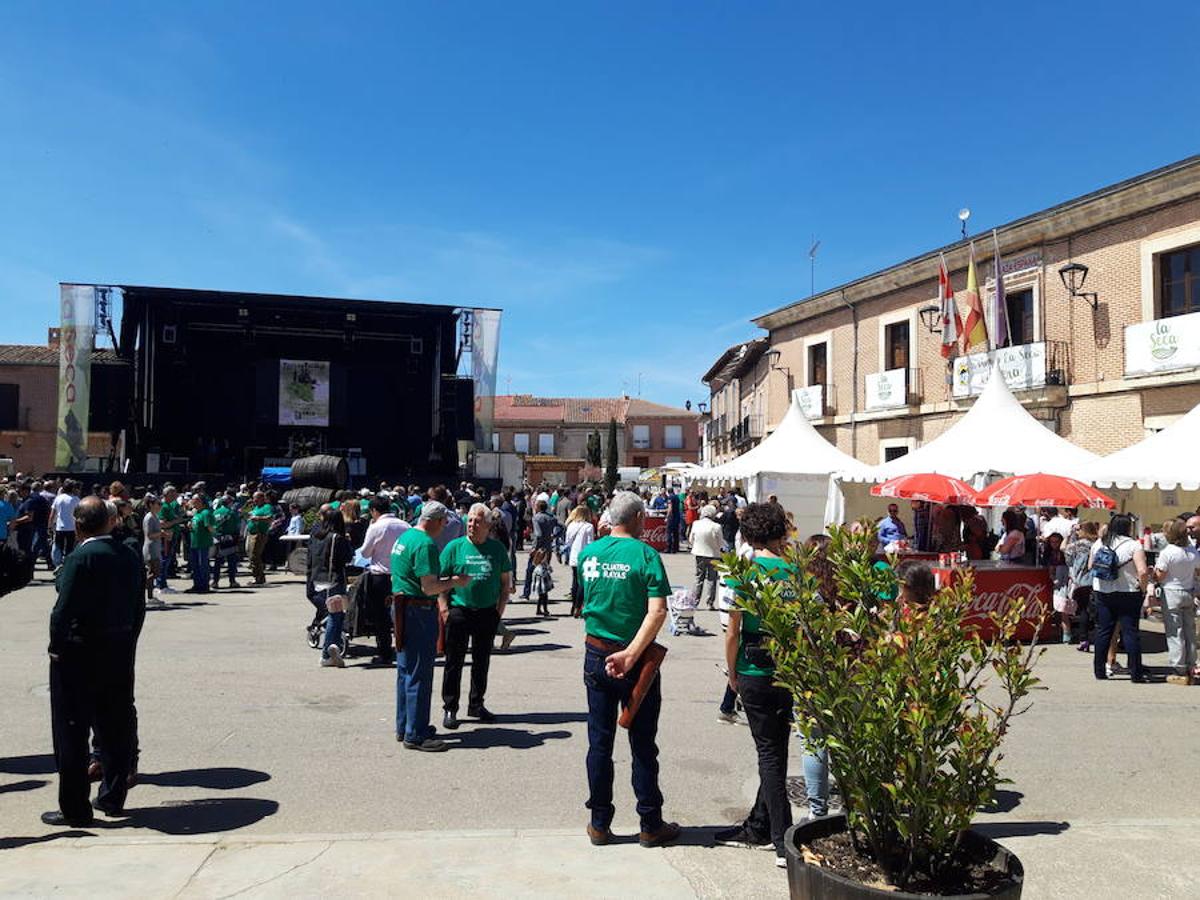 La localidad de La Seca ha celebrado la tradicional Fiesta de Verdejo este fin de semana