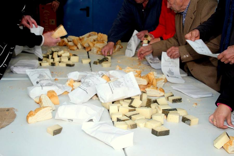 Fotos: Fiesta de San Marcos en Torquemada