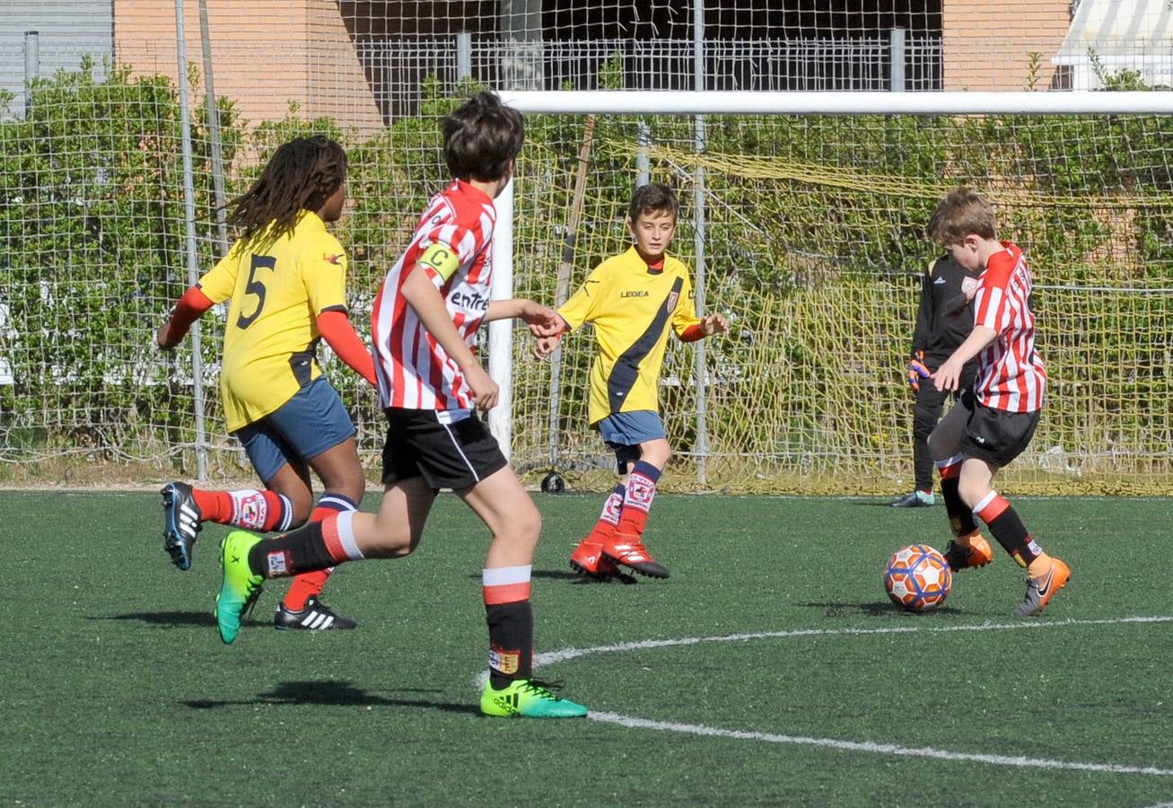 Fotos: Deporte Base del 27 y 28 de abril. Valladolid