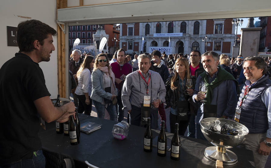 Fotos: Primera cata de &#039;Valladolid, Plaza Mayor del Vino&#039;