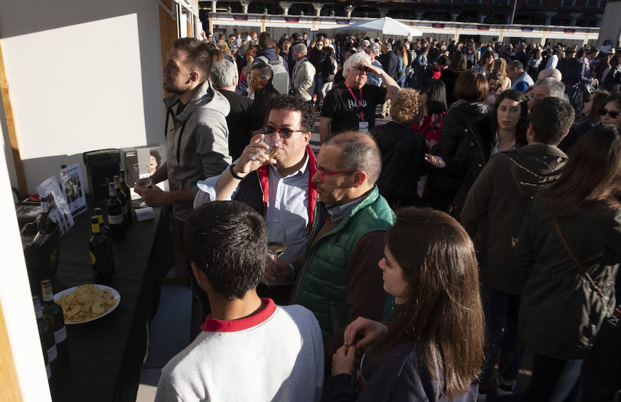 Fotos: Primera cata de &#039;Valladolid, Plaza Mayor del Vino&#039;