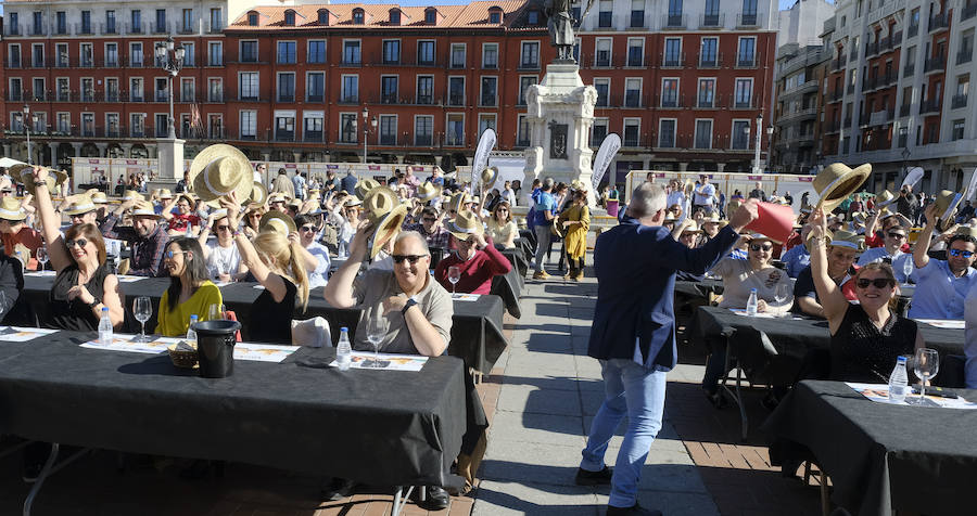 Fotos: Jornada del sábado por la tarde de &#039;Valladolid, Plaza Mayor del Vino&#039;