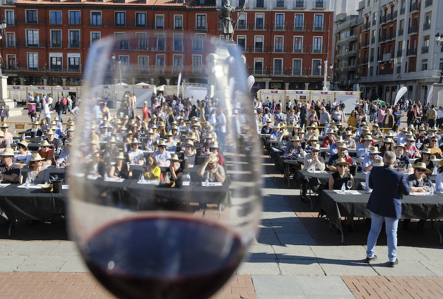 Fotos: Jornada del sábado por la tarde de &#039;Valladolid, Plaza Mayor del Vino&#039;