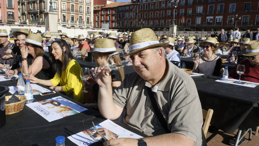 Fotos: Jornada del sábado por la tarde de &#039;Valladolid, Plaza Mayor del Vino&#039;