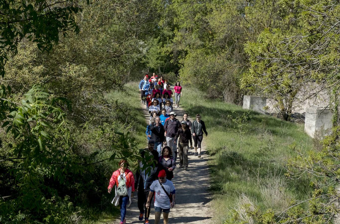 Participantes en la 42 edición de la Marcha Asprona en Valladolid