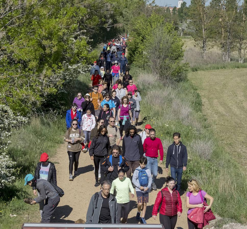 Participantes en la 42 edición de la Marcha Asprona en Valladolid