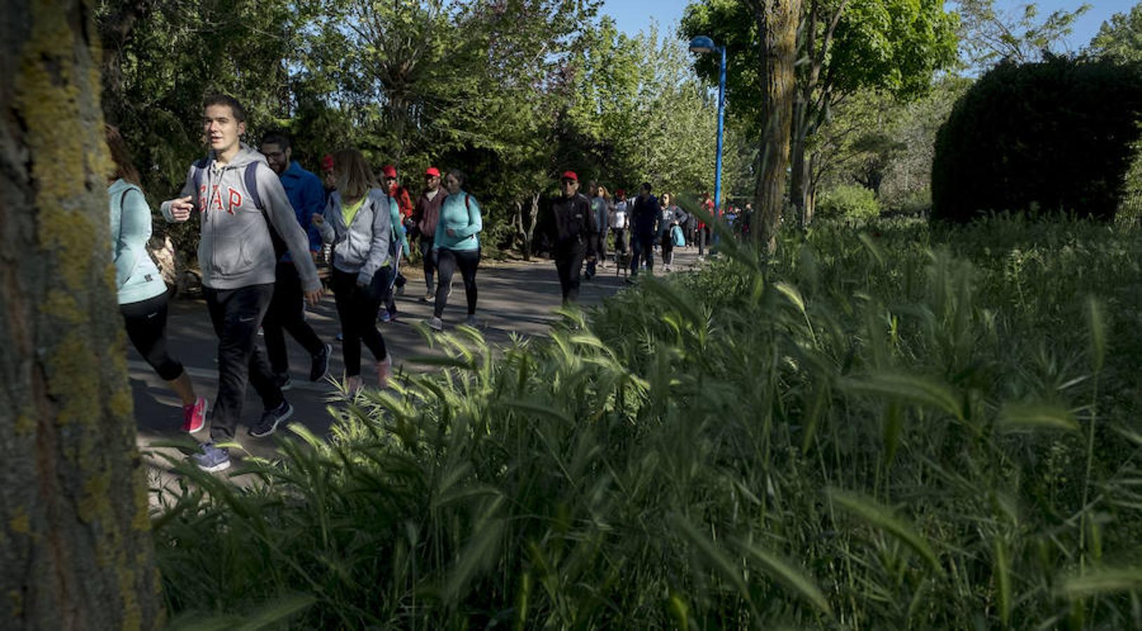 Participantes en la 42 edición de la Marcha Asprona en Valladolid