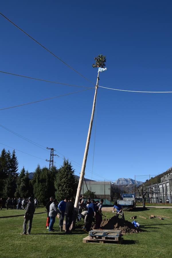 Fotos: Pinada del Mayo en Velilla del Río Carrión