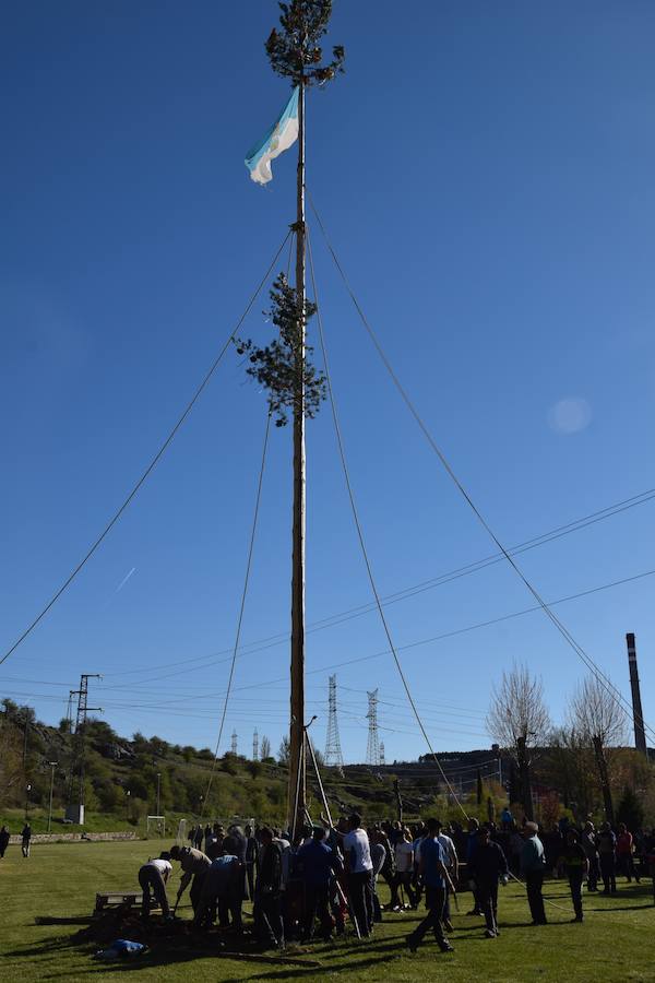 Fotos: Pinada del Mayo en Velilla del Río Carrión