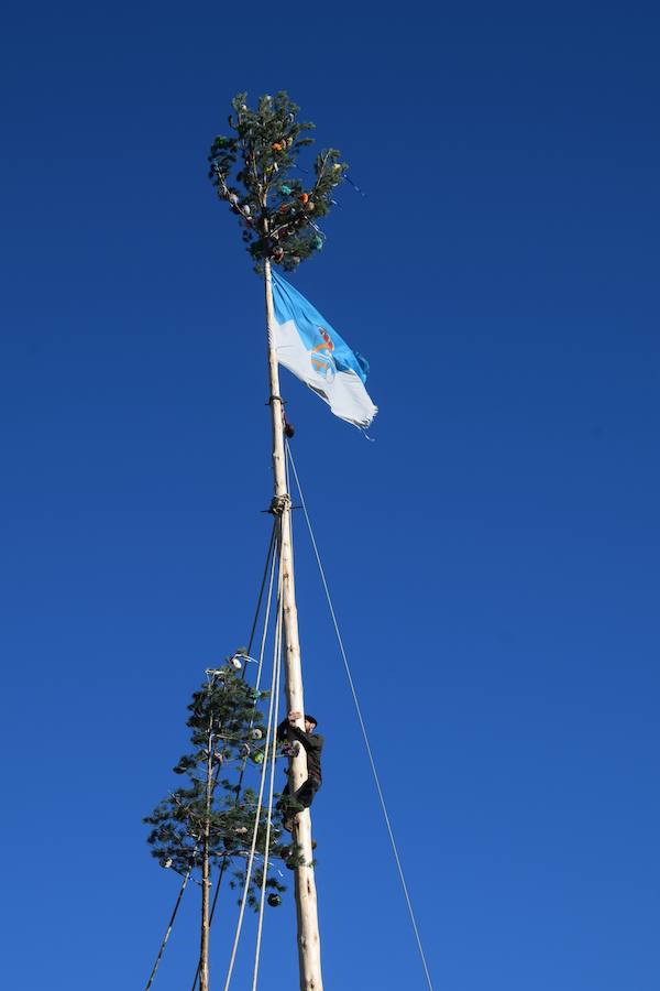 Fotos: Pinada del Mayo en Velilla del Río Carrión